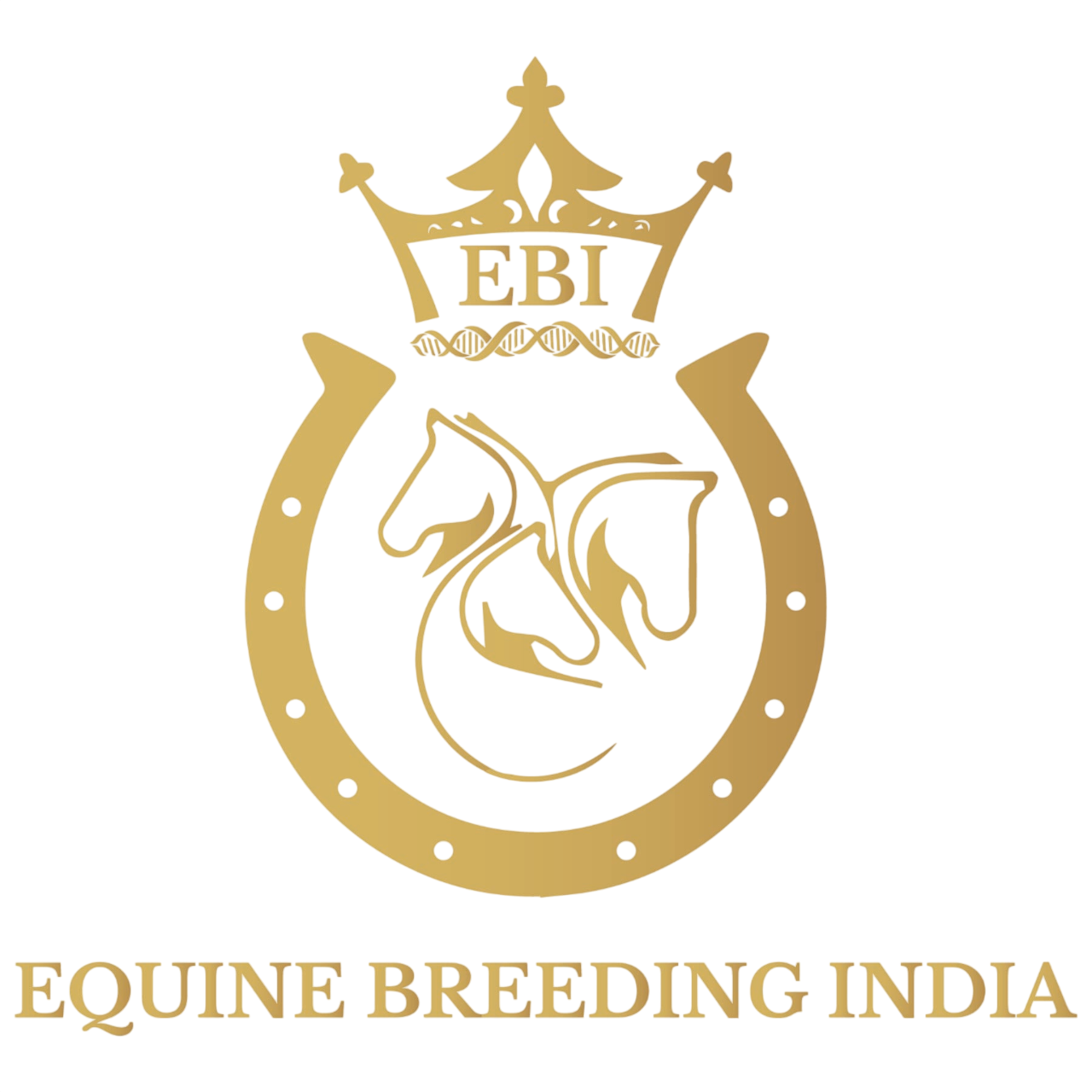 Equine Breeding India Logo